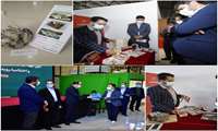 طرح پرورش صدف بومی  استان ، مقام دوم کشوری را در اختتامیه رویداد ملی «دریای برکت»کسب کرد.